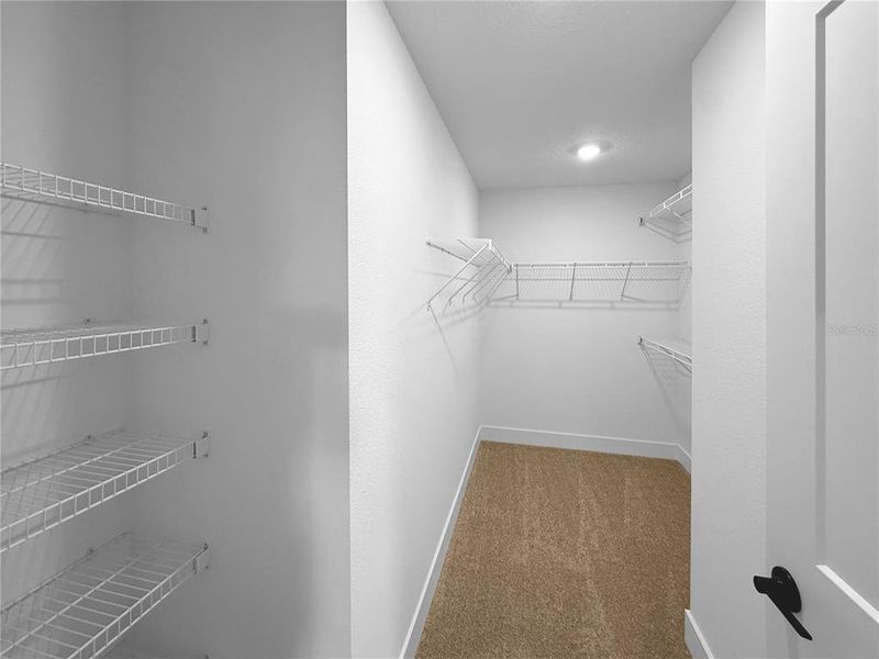 Spacious, unfurnished interior of a new home in Arbor Park, Leesburg (Image 8).