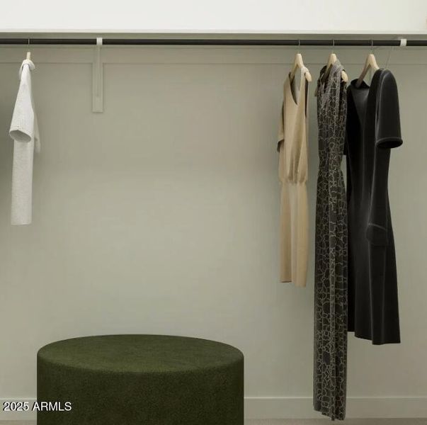 Owners Walk in Closet