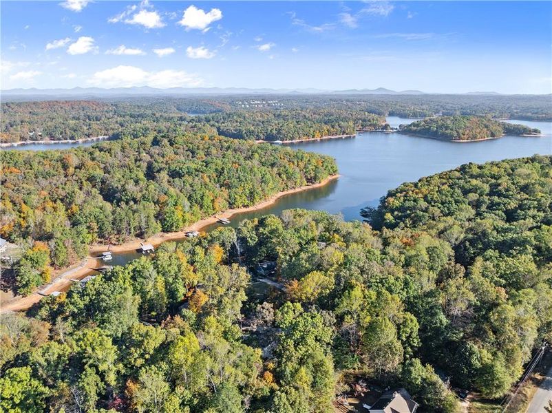 Natural landscape and outdoor views near  in Gainesville (Image 31).