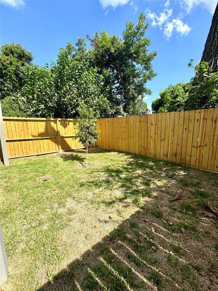 Fully fenced in backyard - perfect for fur babies!