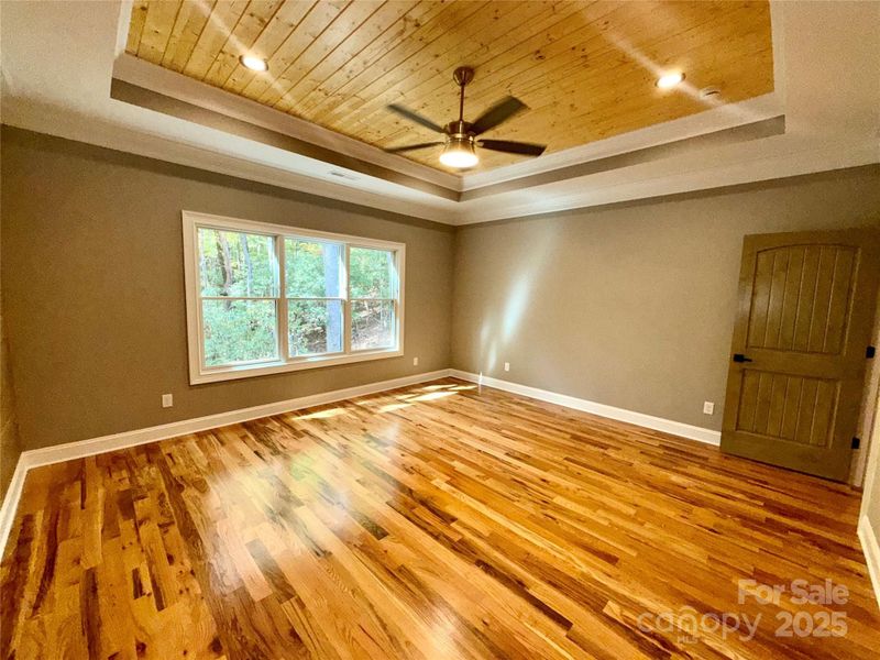 Primary Bedroom with Tray Ceiling