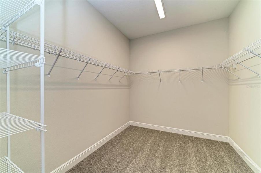 Spacious, unfurnished interior of a new home in Pasadena Woods, Wesley Chapel (Image 35).