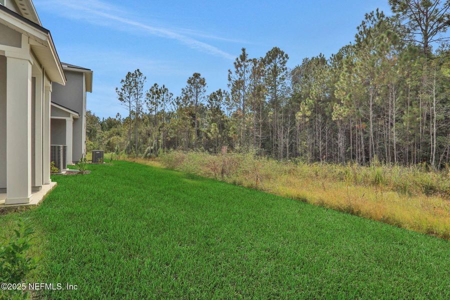 Natural landscape and outdoor views near Atlantis Pointe in Middleburg (Image 48).