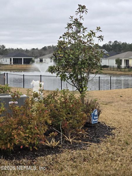 Natural landscape and outdoor views near in St. Augustine (Image 38). Natural landscape and outdoor views near in St. Augustine (Image 38).
