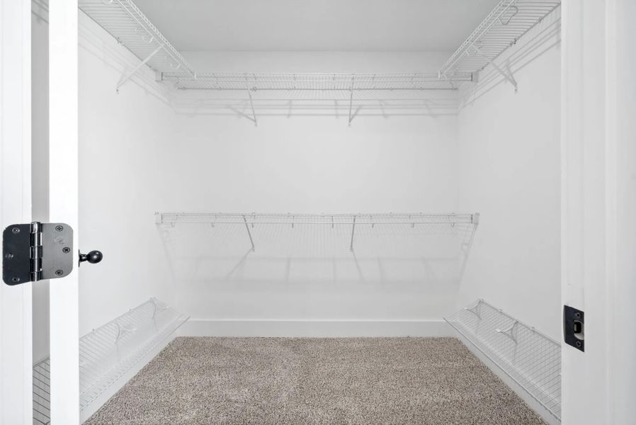 The Noah Closet