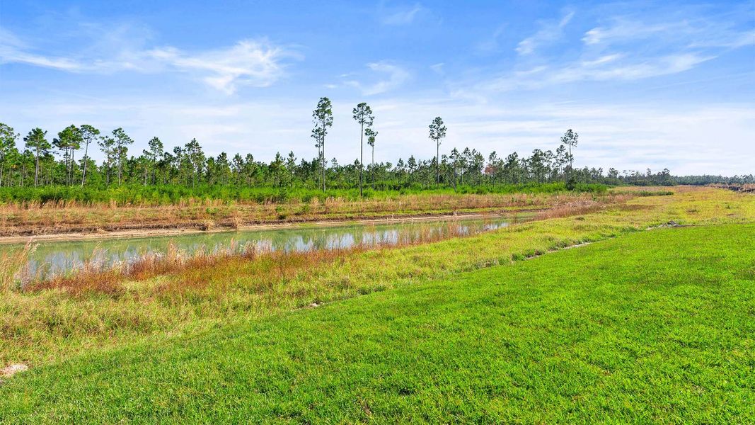Outdoor and nature views near homes built from the The Mckenzie by D.R. Horton in Liberty, Panama City (Image 39).