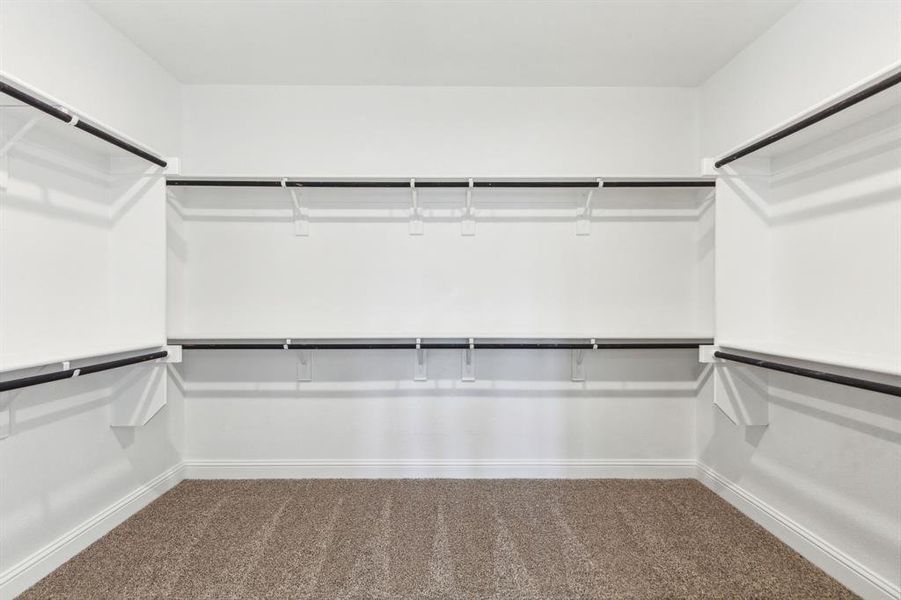 Walk in closet with carpet floors