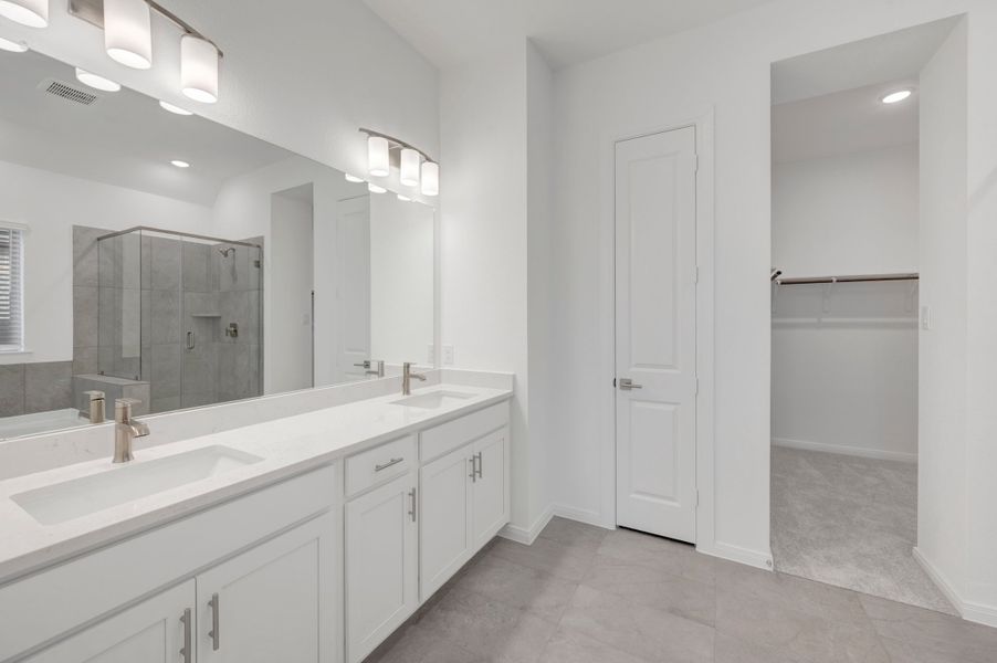 Owner's Bath