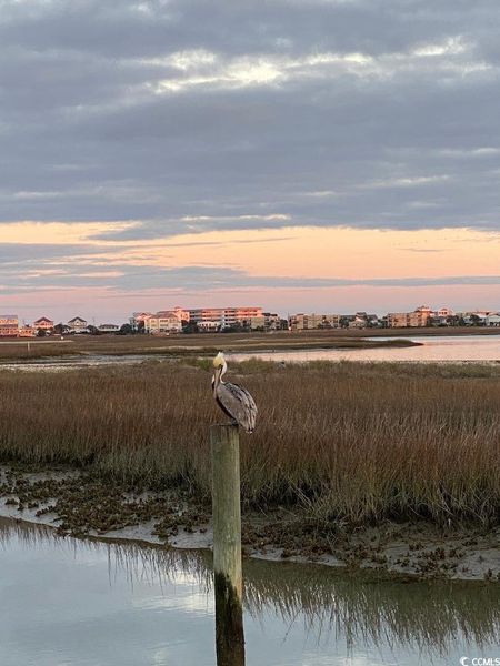 Image 12 of a home in Oak Hollow.