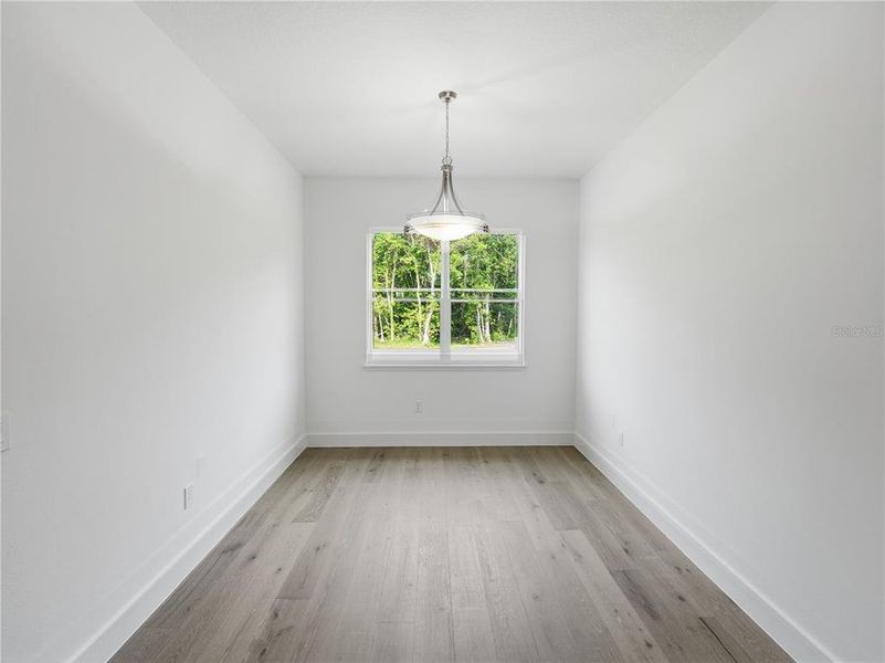 Spacious, unfurnished interior of a new home in , St. Cloud (Image 73).