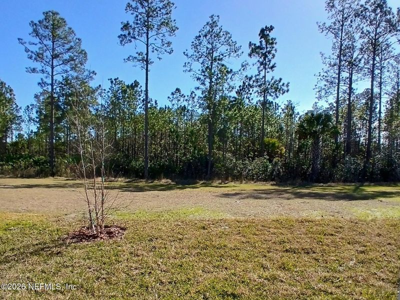 Natural landscape and outdoor views near Seminole Palms in Palm Coast (Image 16).