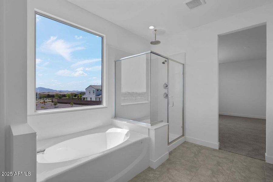 17149 W Sweet Iron Pass - Ready Now! 17149 W Sweet Iron Pass - Ready Now!