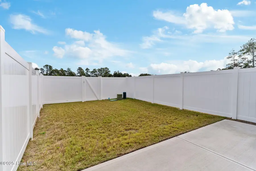 Exterior details and patio area of a home in Coastal Haven Townes, Leland (Image 3).