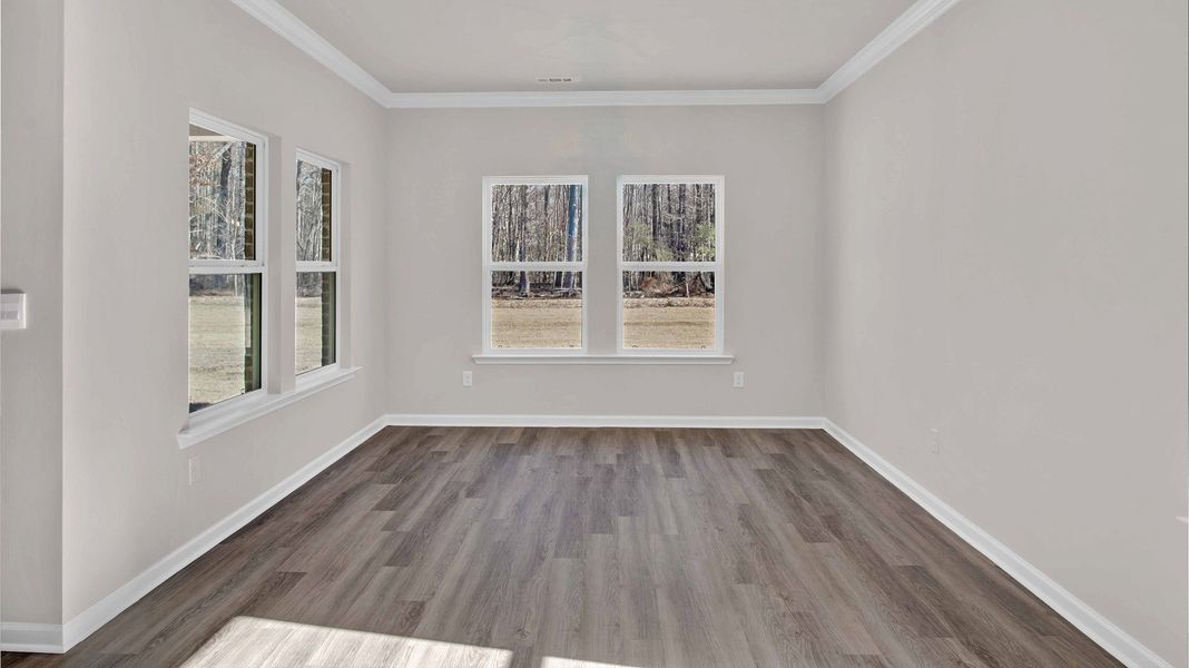 Representative unfurnished interior of a home built from the Plan by D.R. Horton in Hedge Rose, Somerville (Image 17).