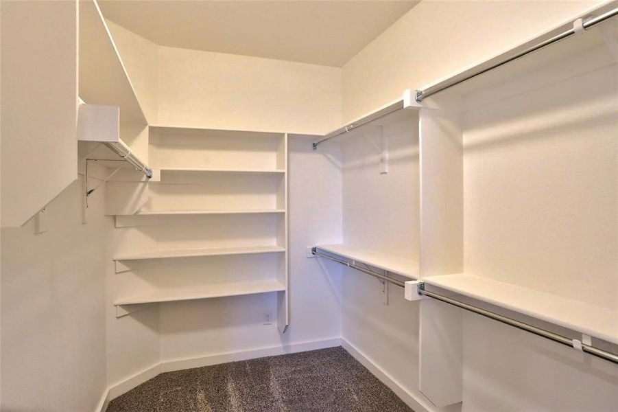 Spacious closet with dark colored carpet