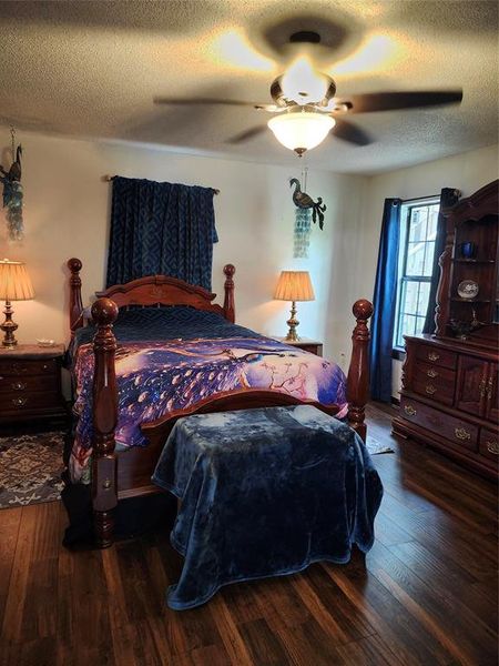Primary bedroom has natural light, beautiful ceiling fan and adjoining bathroom. Primary bedroom has natural light, beautiful ceiling fan and adjoining bathroom.