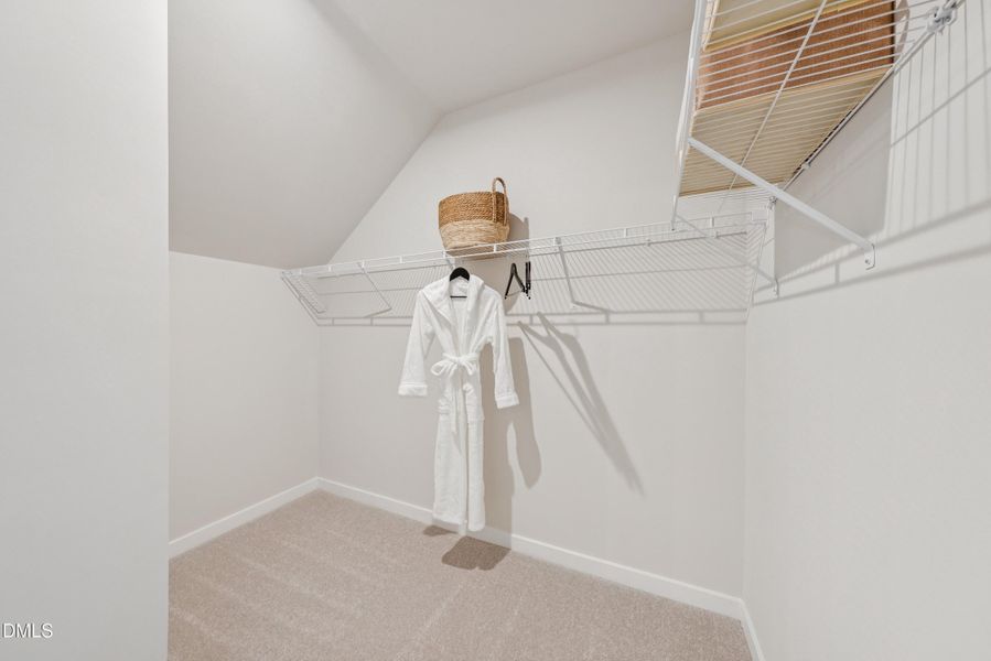 P_NVA_INV_Tessa_INT_PCL