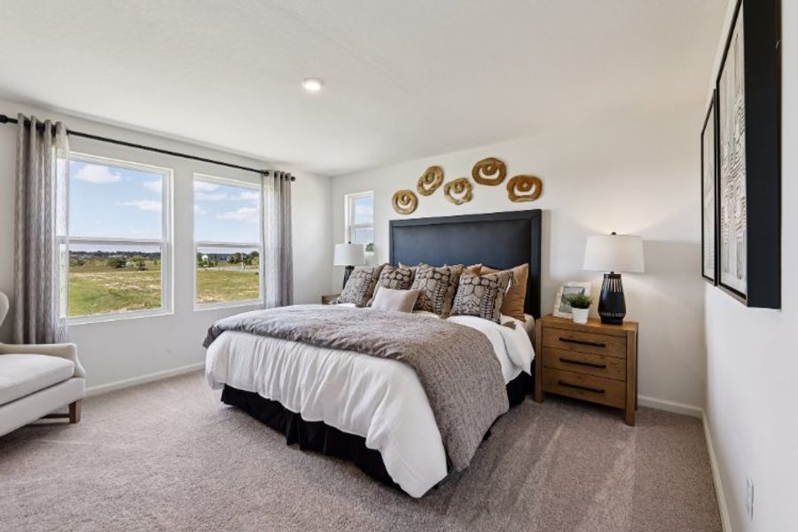 A bedroom with a large bed. A bedroom with a large bed.