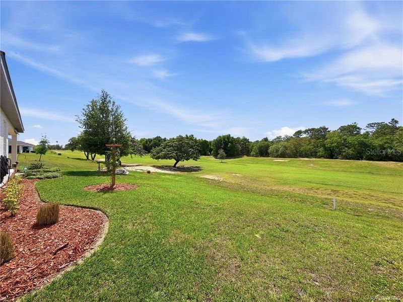Image 73 of a home in The Fairways At Twisted Oaks.