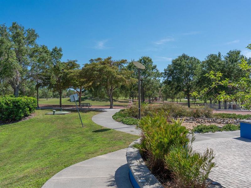 Natural landscape and outdoor views near  in Sarasota (Image 38).