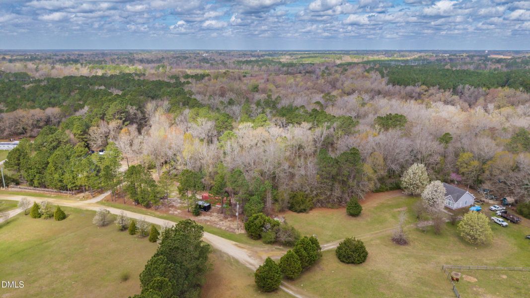 53-DJI_20260315234920_0078_D-HDR 53-DJI_20260315234920_0078_D-HDR