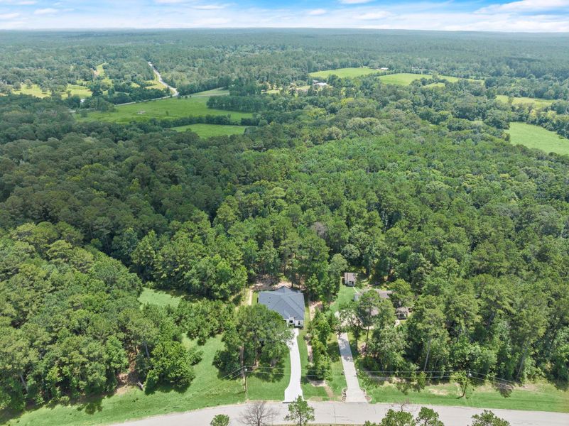 Natural landscape and outdoor views near  in New Waverly (Image 41).