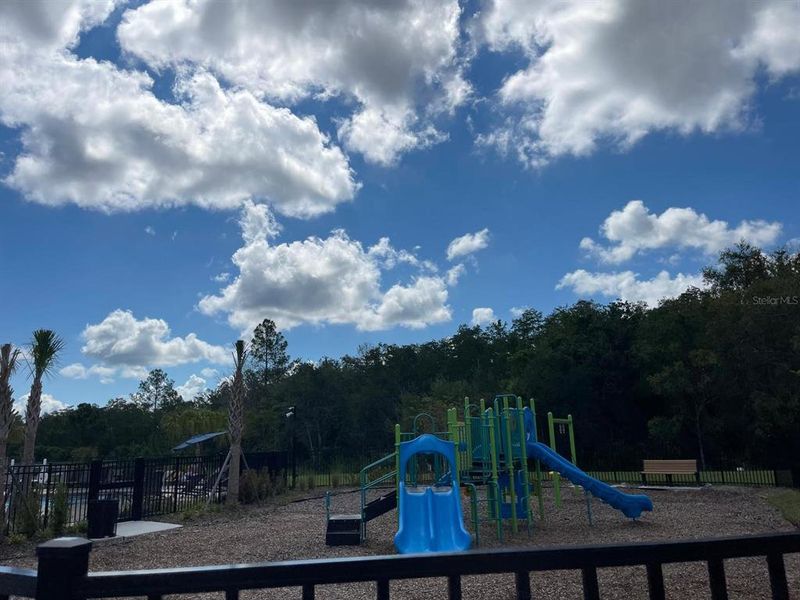 Community amenities in , Kissimmee (Image 16).