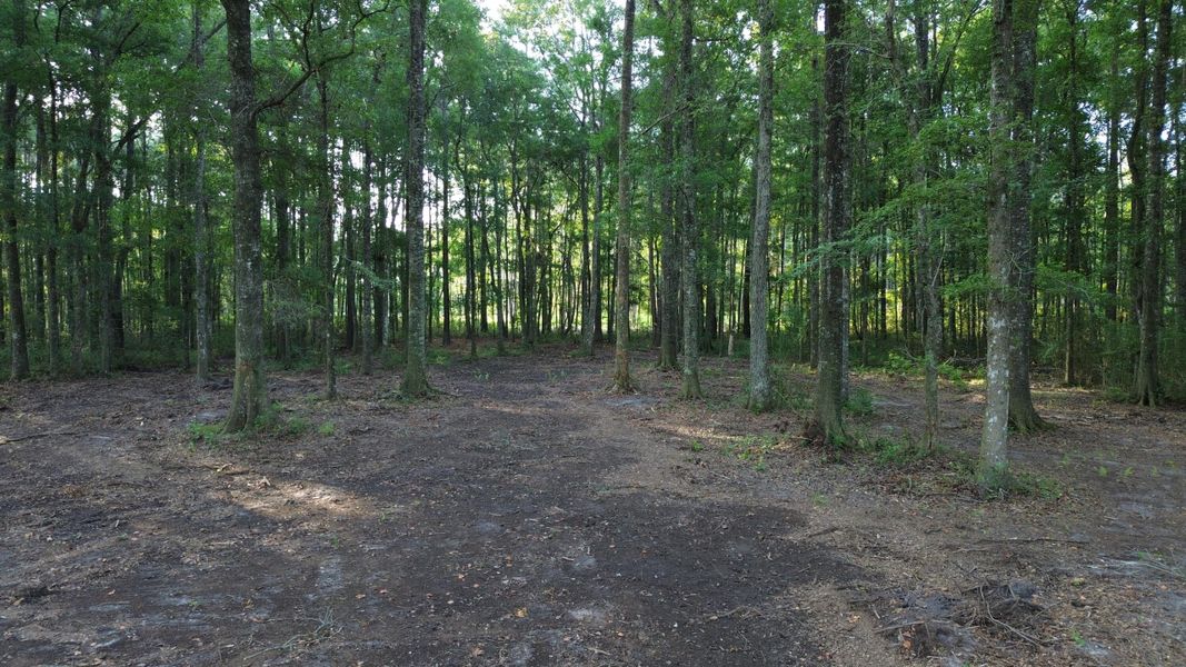 Natural landscape and outdoor views near in Ridgeville (Image 29). Natural landscape and outdoor views near in Ridgeville (Image 29).