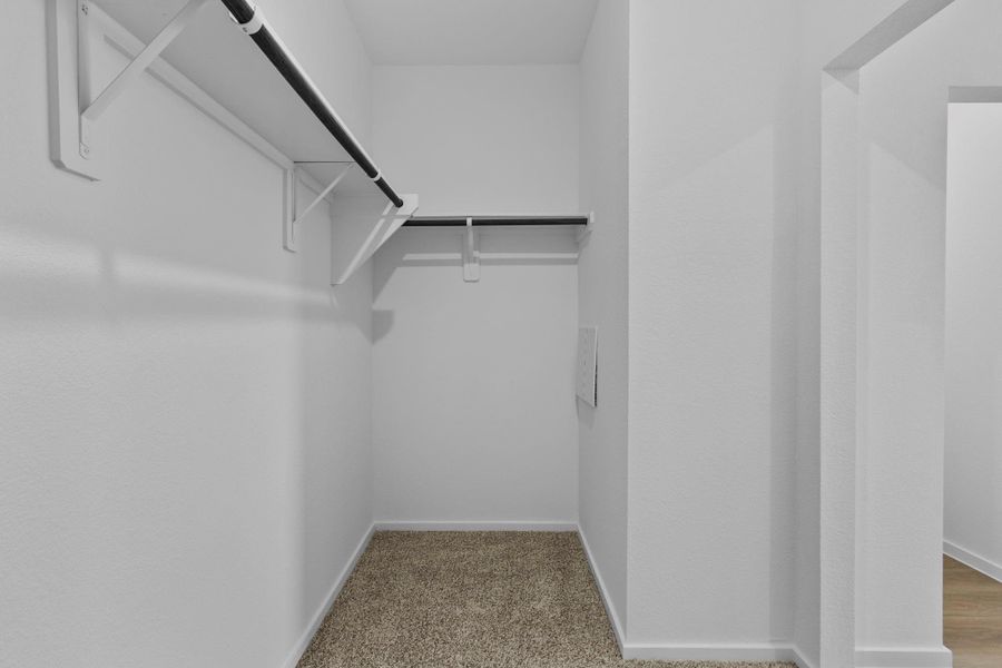 Spacious, unfurnished interior of a new home in Maple Woods, Hockley (Image 32). Spacious, unfurnished interior of a new home in Maple Woods, Hockley (Image 32).
