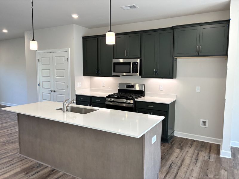 Furnished interior view inside a new home in Holly View, Greenville (Image 5).
