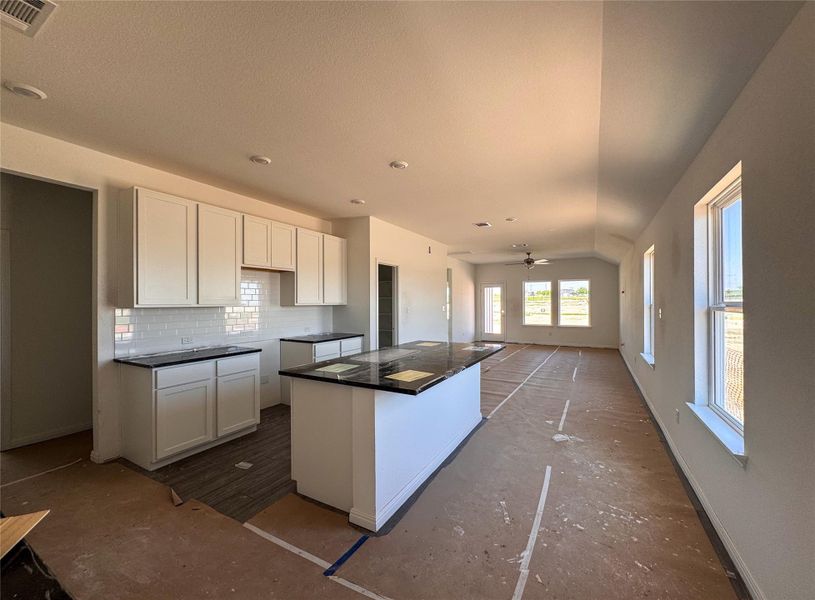 207 Bayou Mint Boulevard ~ Under Construction