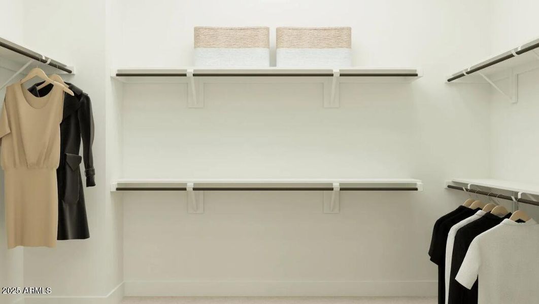 Owners Walk in Closet