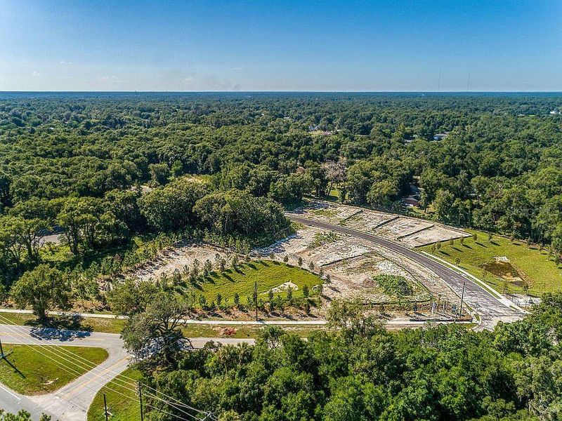 Site preparation for new homesites in Andover Ridge, Deland (Image 25).
