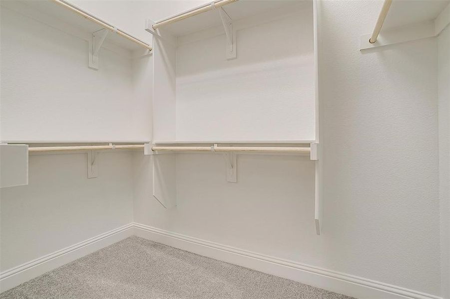 Spacious closet featuring carpet flooring