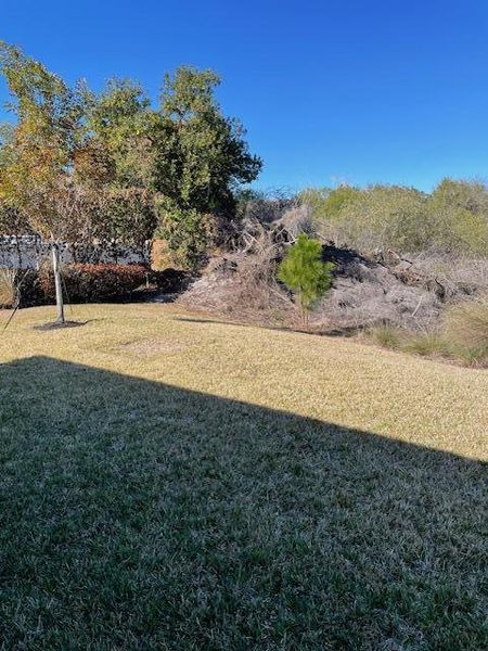 backyard views backyard views