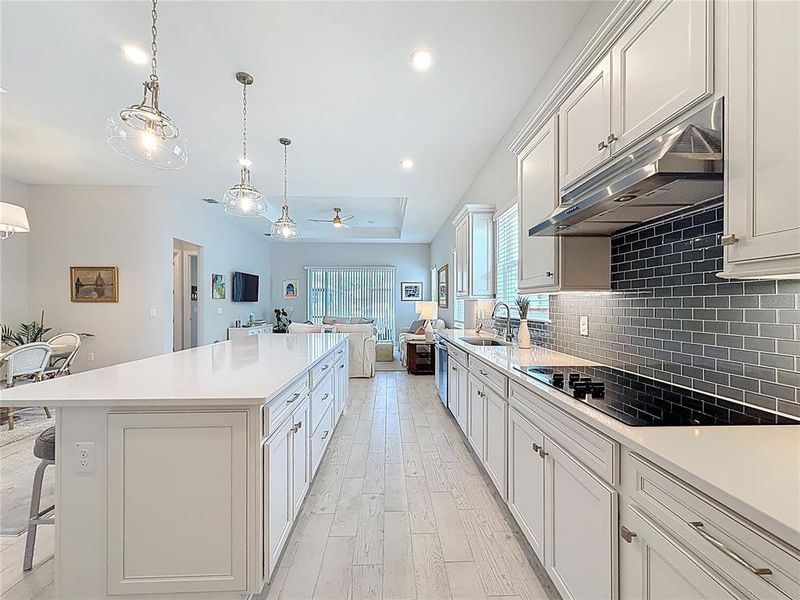 Furnished interior view inside a new home in , Ocala (Image 32).