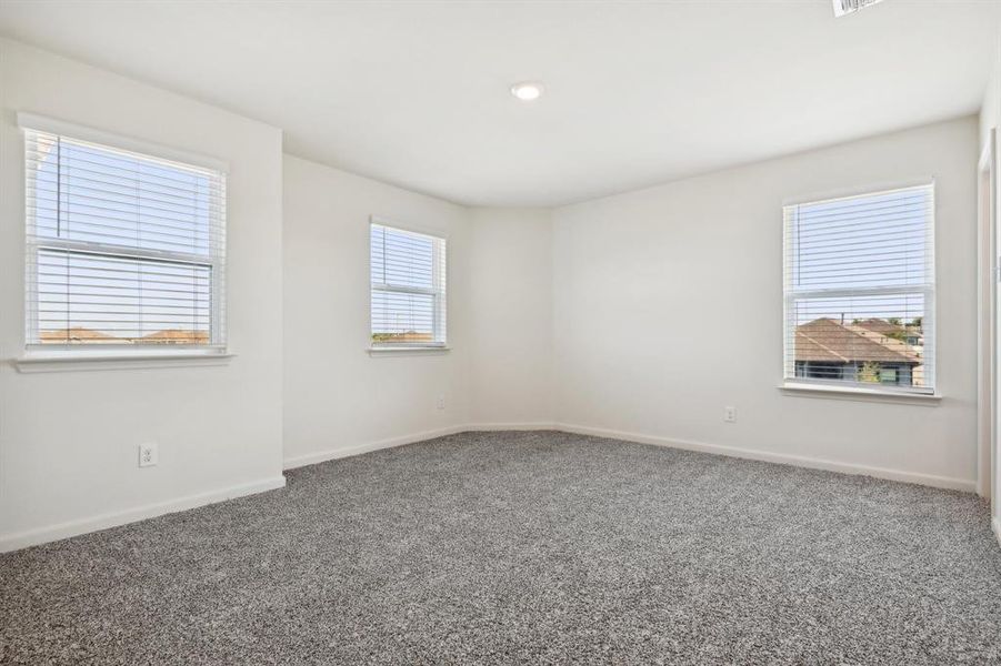 Carpeted spare room featuring a wealth of natural light