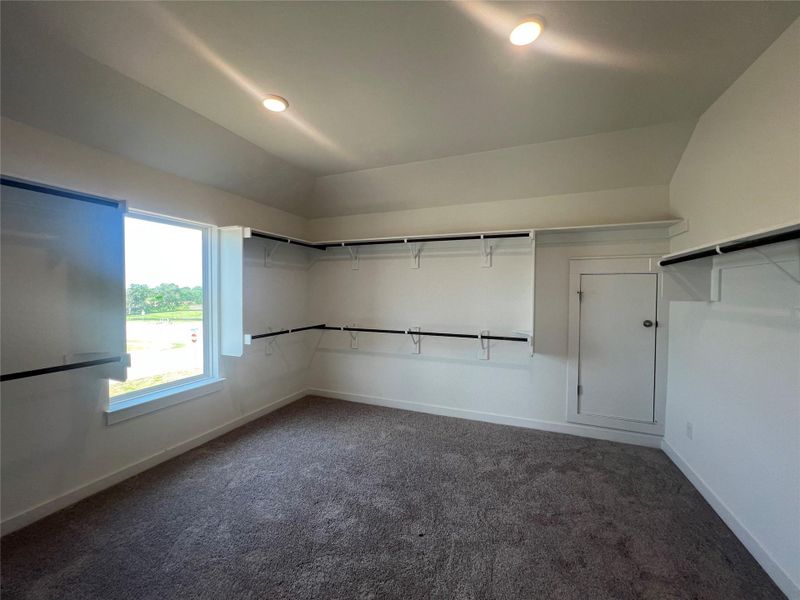 Walk in closet featuring carpet and lofted ceiling