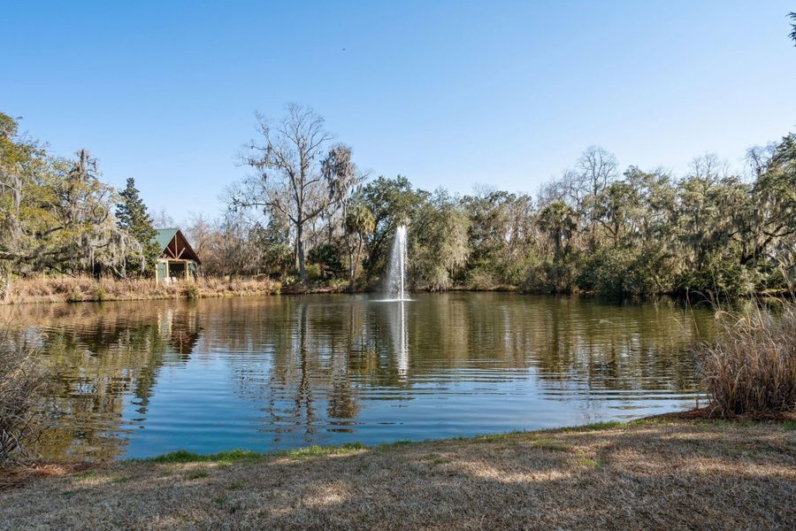Natural landscape and outdoor views near  in North Charleston (Image 51).