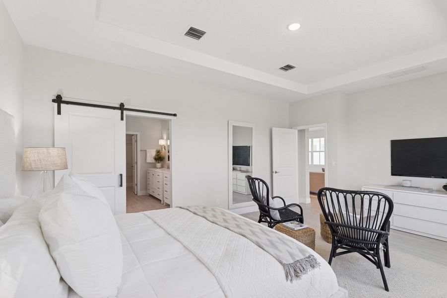 Primary suite with tray ceiling