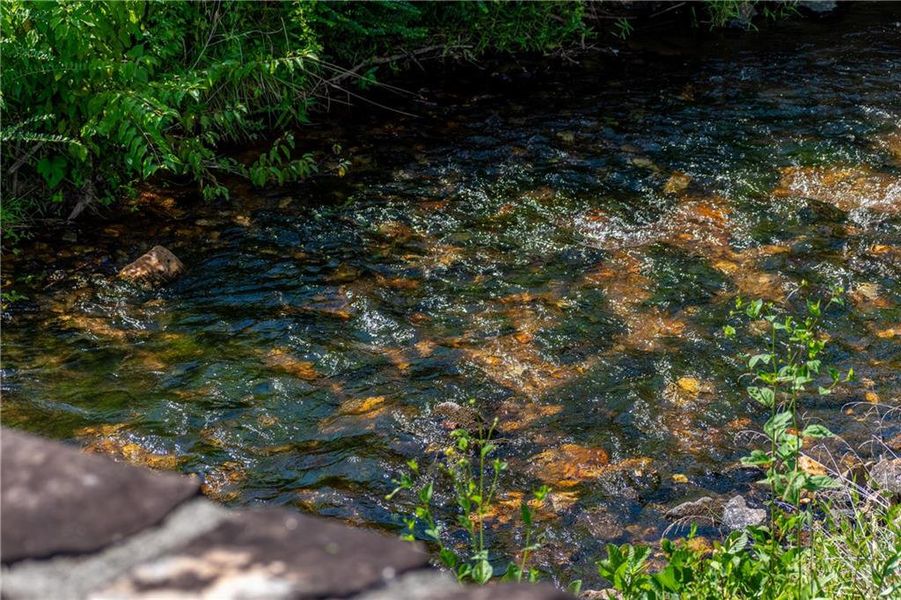 Natural landscape and outdoor views near  in Blairsville (Image 96).
