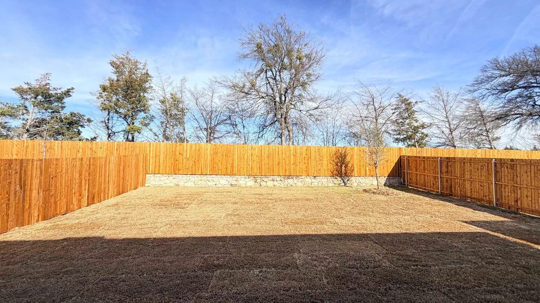 Backyard Construction Progress