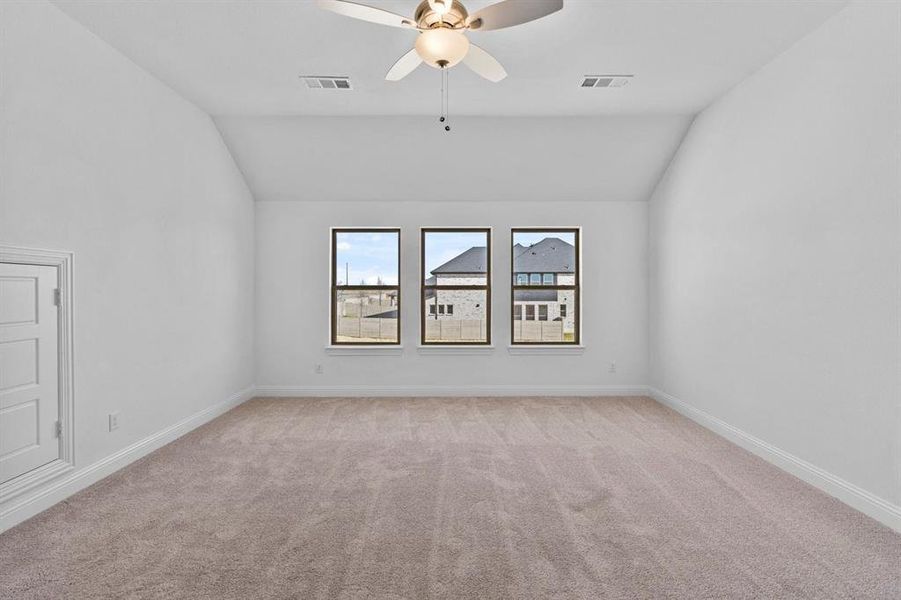 DAL_Painted Tree_Kilgore IV_3928 Attwater Street (29)