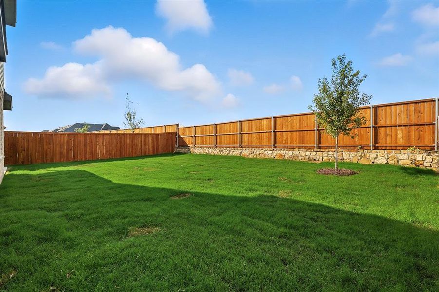 View of fenced backyard