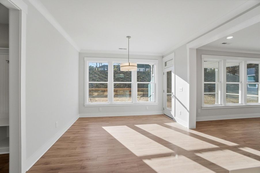 Spacious, unfurnished interior of a new home in Rone Creek, Waxhaw (Image 52).