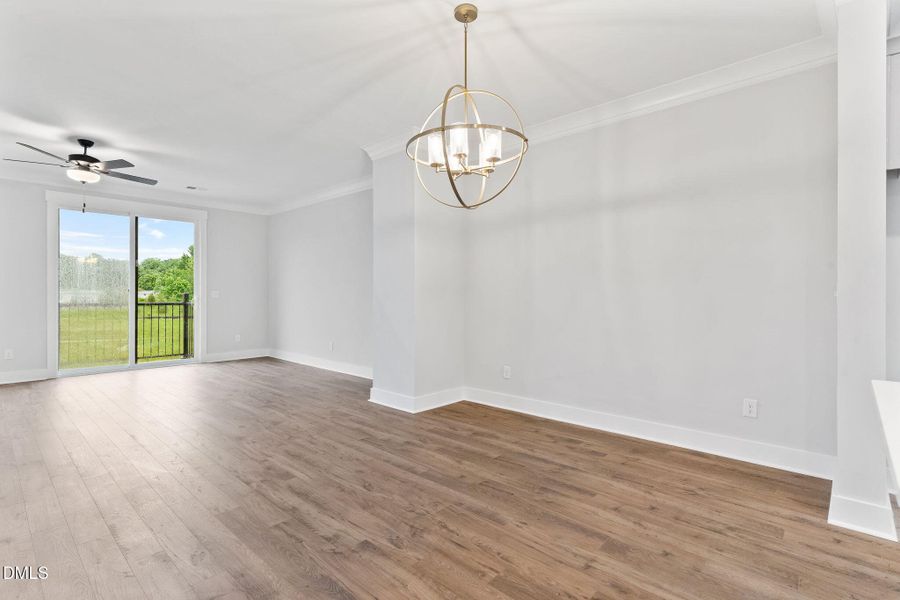 18-web-or-mls-DSC07253