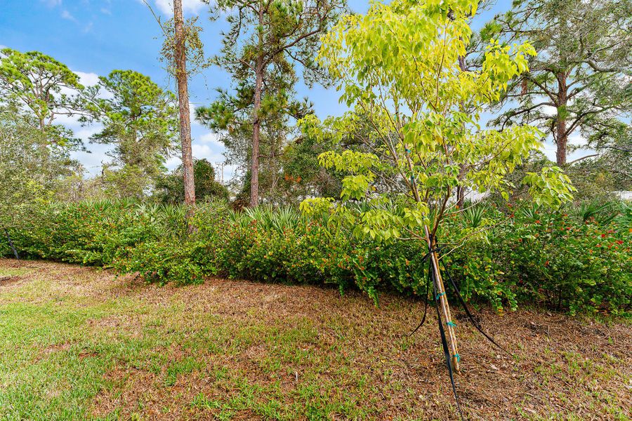 Natural landscape and outdoor views near Banyan Bay in Stuart (Image 93).