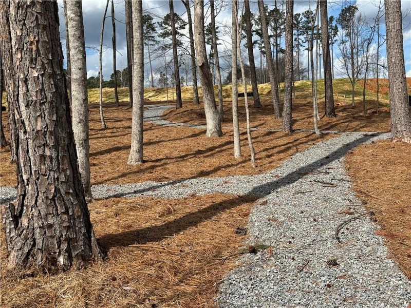 Natural landscape and outdoor views near  in Canton (Image 39).