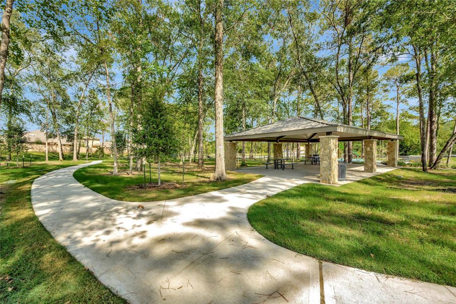 Natural landscape and outdoor views near Pine Lake Cove - Traditional Series in Montgomery (Image 30). Natural landscape and outdoor views near Pine Lake Cove - Traditional Series in Montgomery (Image 30).