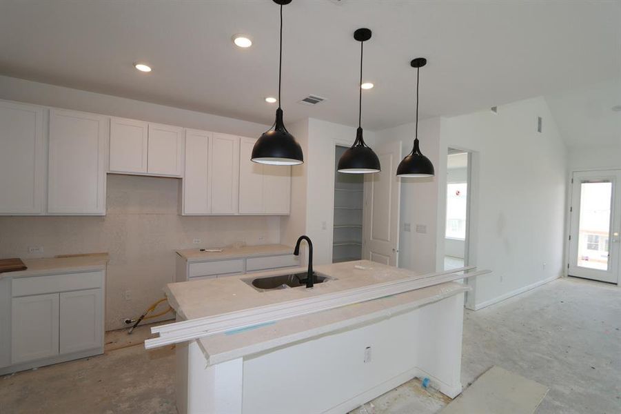 236 Wingstem Way- Under Construction